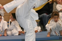 IMG_7753_bearbeitet-1