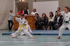 DSC06410_bearbeitet-1