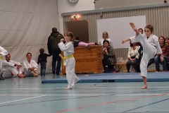 DSC06433_bearbeitet-1