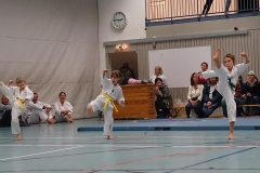 DSC06443_bearbeitet-1