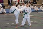 IMG_5753_bearbeitet-2