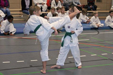 IMG_5753_bearbeitet-2