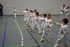 IMG_5440_bearbeitet-1