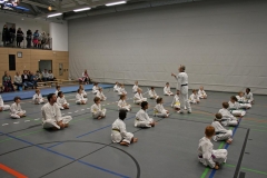 IMG_5447_bearbeitet-1