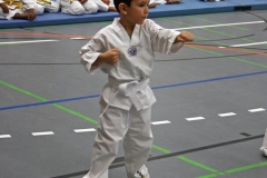 IMG_5450_bearbeitet-1