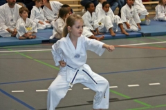 IMG_5497_bearbeitet-1