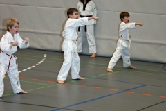 IMG_5500_bearbeitet-1