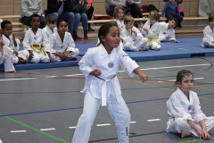 IMG_5505_bearbeitet-1