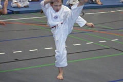 IMG_5511_bearbeitet-1