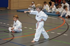 IMG_5536_bearbeitet-1