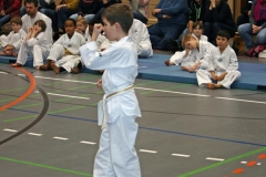 IMG_5537_bearbeitet-1
