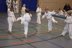 IMG_5554_bearbeitet-2