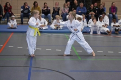 IMG_5555_bearbeitet-1