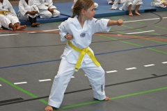 IMG_5564_bearbeitet-1