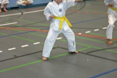 IMG_5565_bearbeitet-1