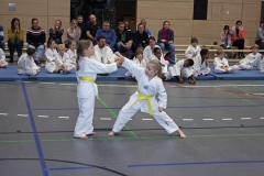 IMG_5598_bearbeitet-1