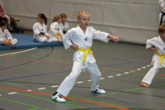 IMG_5613_bearbeitet-1