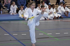 IMG_5622_bearbeitet-1