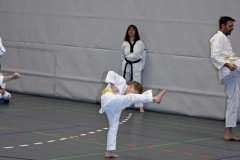 IMG_5625_bearbeitet-1