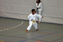 IMG_5677_bearbeitet-1