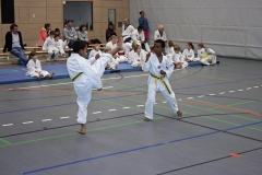 IMG_5704_bearbeitet-1