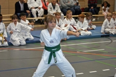 IMG_5711_bearbeitet-1