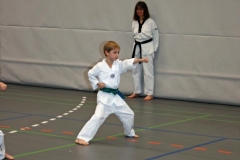 IMG_5714_bearbeitet-1