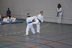 IMG_5756_bearbeitet-1