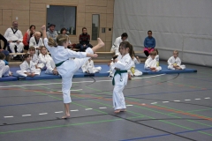 IMG_5761_bearbeitet-1