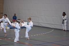 IMG_5771_bearbeitet-1
