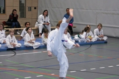 IMG_5784_bearbeitet-1