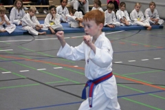 IMG_5811_bearbeitet-1