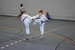 IMG_5834_bearbeitet-1