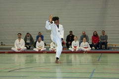 IMG_7921_bearbeitet-1