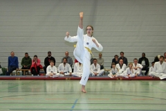 IMG_7964_bearbeitet-1