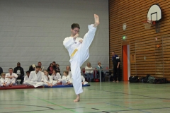 IMG_7969_bearbeitet-1