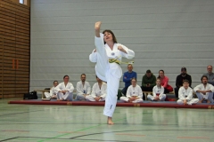 IMG_8001_bearbeitet-1