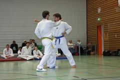 IMG_8024_bearbeitet-1