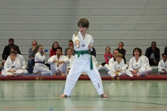 IMG_8037_bearbeitet-1