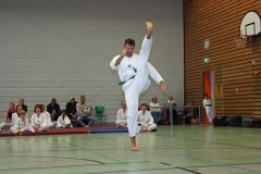 IMG_8045_bearbeitet-1