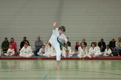 IMG_8046_bearbeitet-1