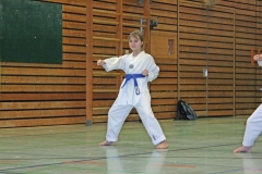 IMG_8086_bearbeitet-1