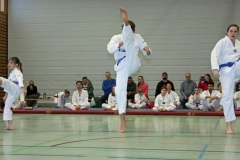 IMG_8094_bearbeitet-1