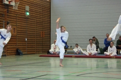 IMG_8095_bearbeitet-1