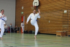 IMG_8099_bearbeitet-1