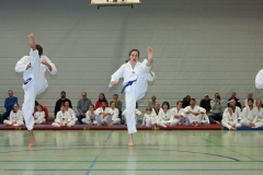 IMG_8100_bearbeitet-1