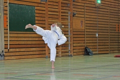 IMG_8108_bearbeitet-1