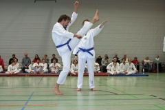 IMG_8127_bearbeitet-1