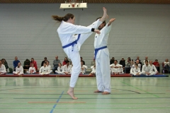 IMG_8132_bearbeitet-1