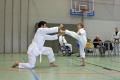 IMG_8174_bearbeitet-1